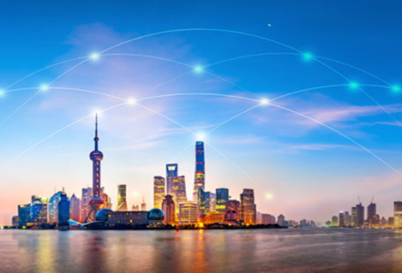 上海出口貨代服務(wù)：專業(yè)引領(lǐng)，可靠護航，高效共贏